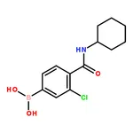 RHAWN (3-Chloro-4-(cyclohexylcarbamoyl)- phenyl)boronic acid
