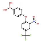 RHAWN (4-(2-Nitro-4-(trifluoromethyl)phenoxy)phenyl)boronic acid