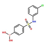 RHAWN (4-(N-(3-Chlorophenyl)sulfamoyl)phenyl)boronic acid