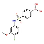 RHAWN (4-(N-(4-Fluoro-3-methoxyphenyl)sulfamoyl)phenyl)boronic acid