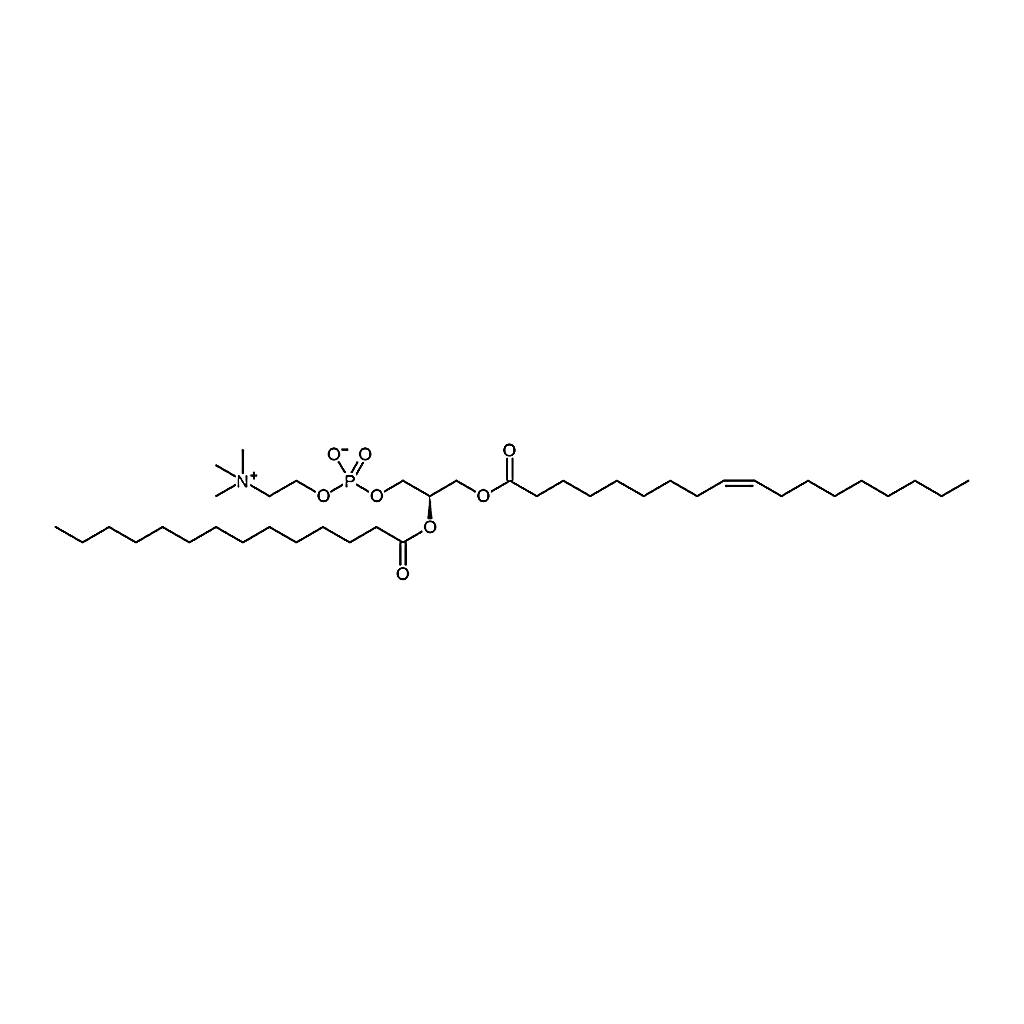 RHAWN 1-oleoyl-2-myristoyl-sn-glycero-3-phosphocholine
