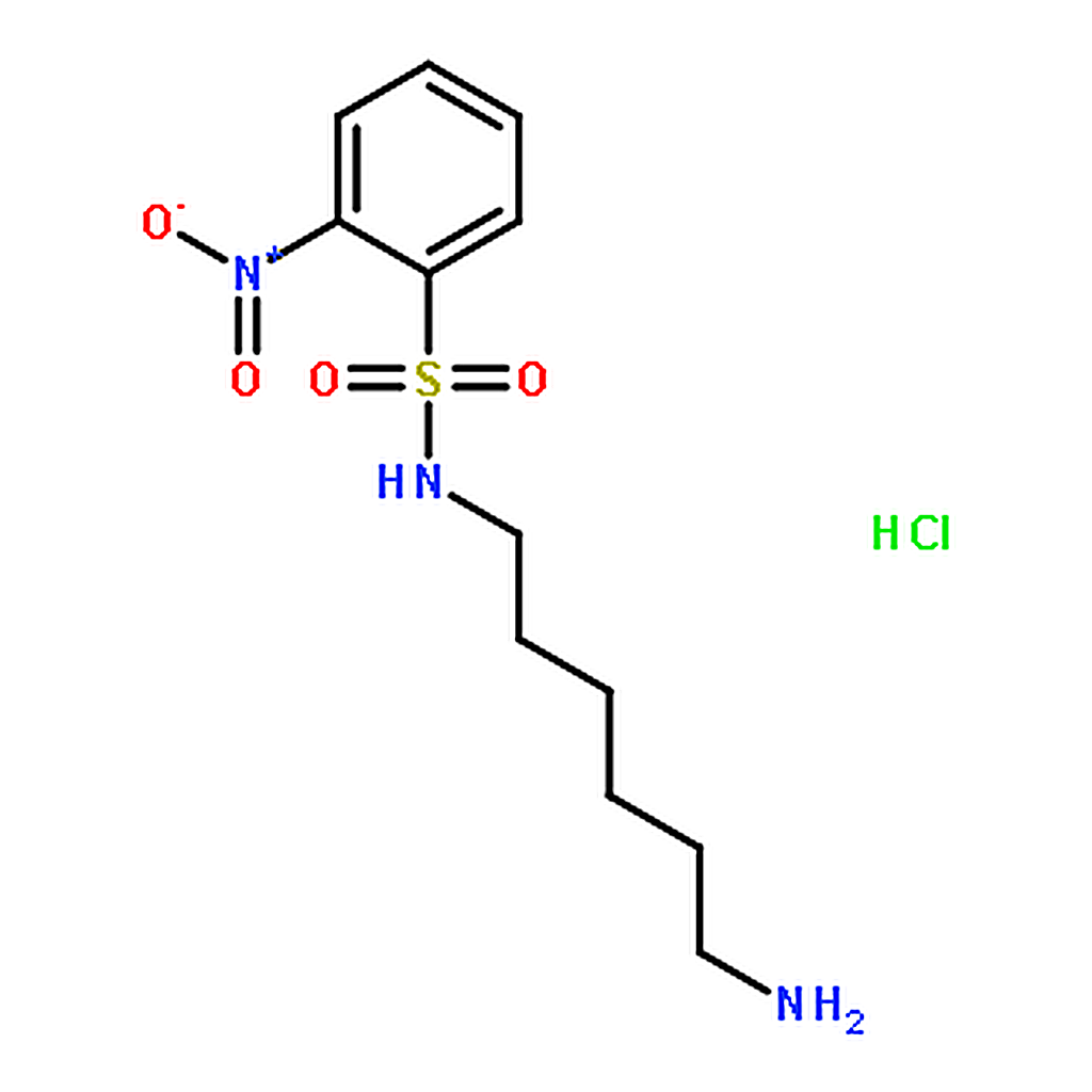 RHAWN <i>N</i>-(6-Aminohexyl)-2-nitrobenzenesulfonamide Hydrochloride