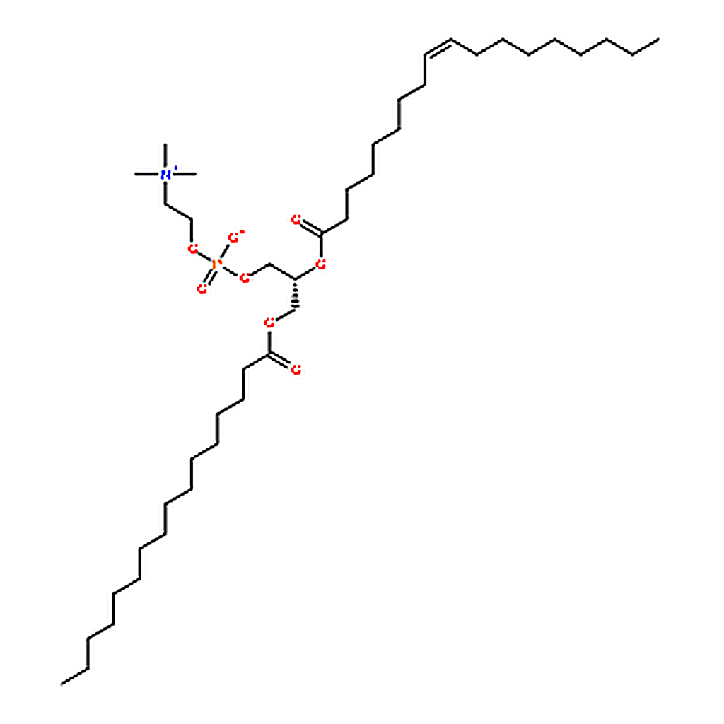 RHAWN L--phosphatidylcholine (95%) (Egg, Chicken)