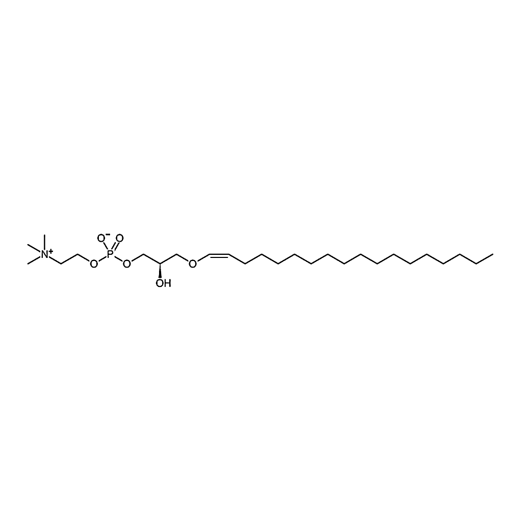 RHAWN 1-O-1'-(Z)-octadecenyl-2-hydroxy-sn-glycero-3-phosphocholine