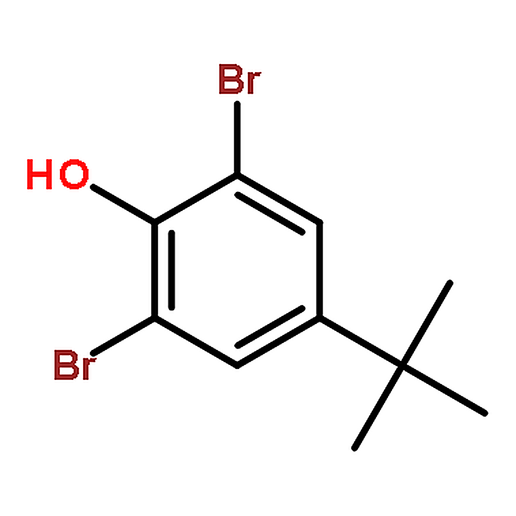 RHAWN 2,6-Dibromo-4-(tert-butyl)phenol