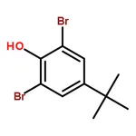 RHAWN 2,6-Dibromo-4-(tert-butyl)phenol