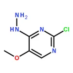 RHAWN 2-Chloro-4-hydrazino-5-methoxy-pyrimidine