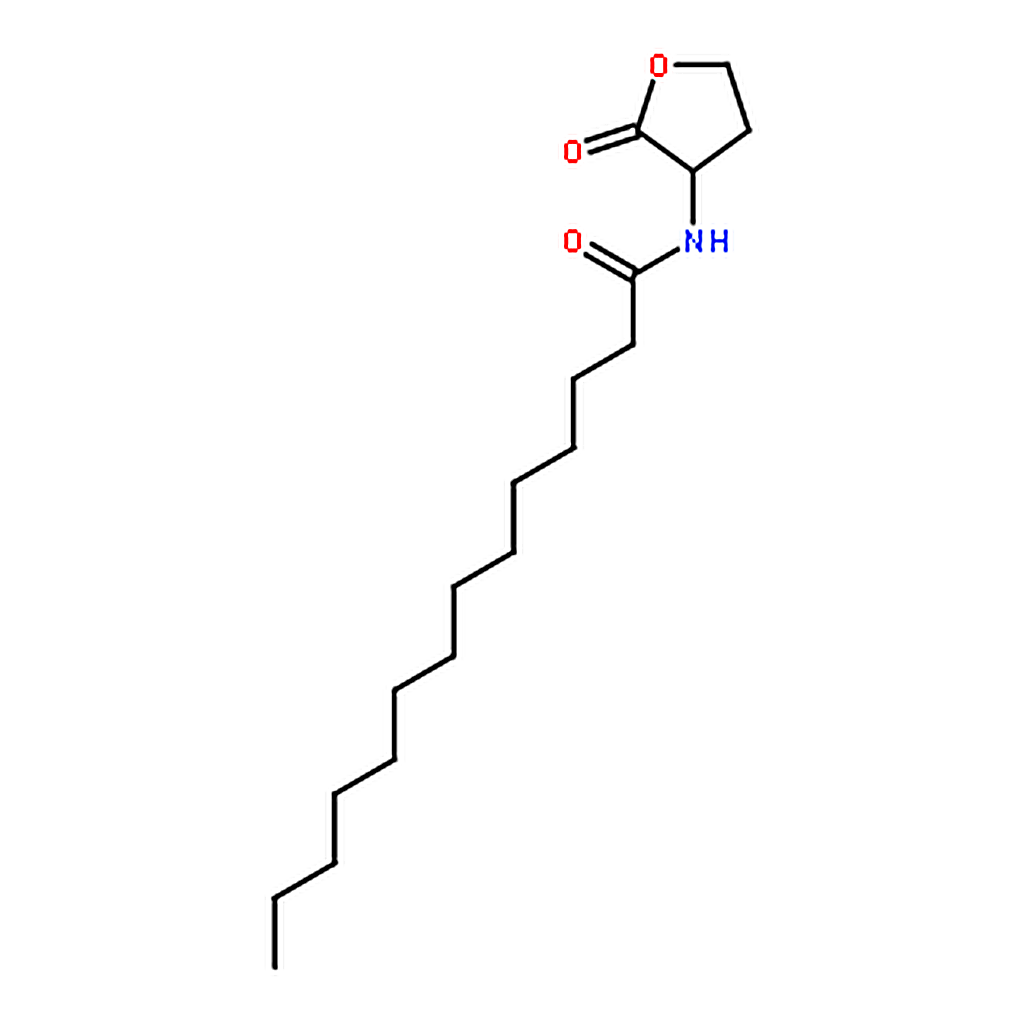 RHAWN N-Tetradecanoyl-DL-homoserine lactone