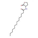 RHAWN N-Tetradecanoyl-DL-homoserine lactone
