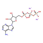 RHAWN Adenosine 5'-triphosphate disodium salt (ATP)