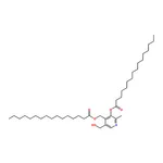 RHAWN Pyridoxine 3,4-Dipalmitate