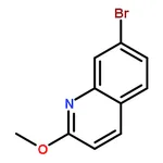 RHAWN 7-Bromo-2-methoxyquinoline