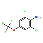 RHAWN 2,6-Dichloro-4-(trifluoromethoxy)aniline