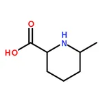 RHAWN 6-Methylpiperidine-2-carboxylic acid