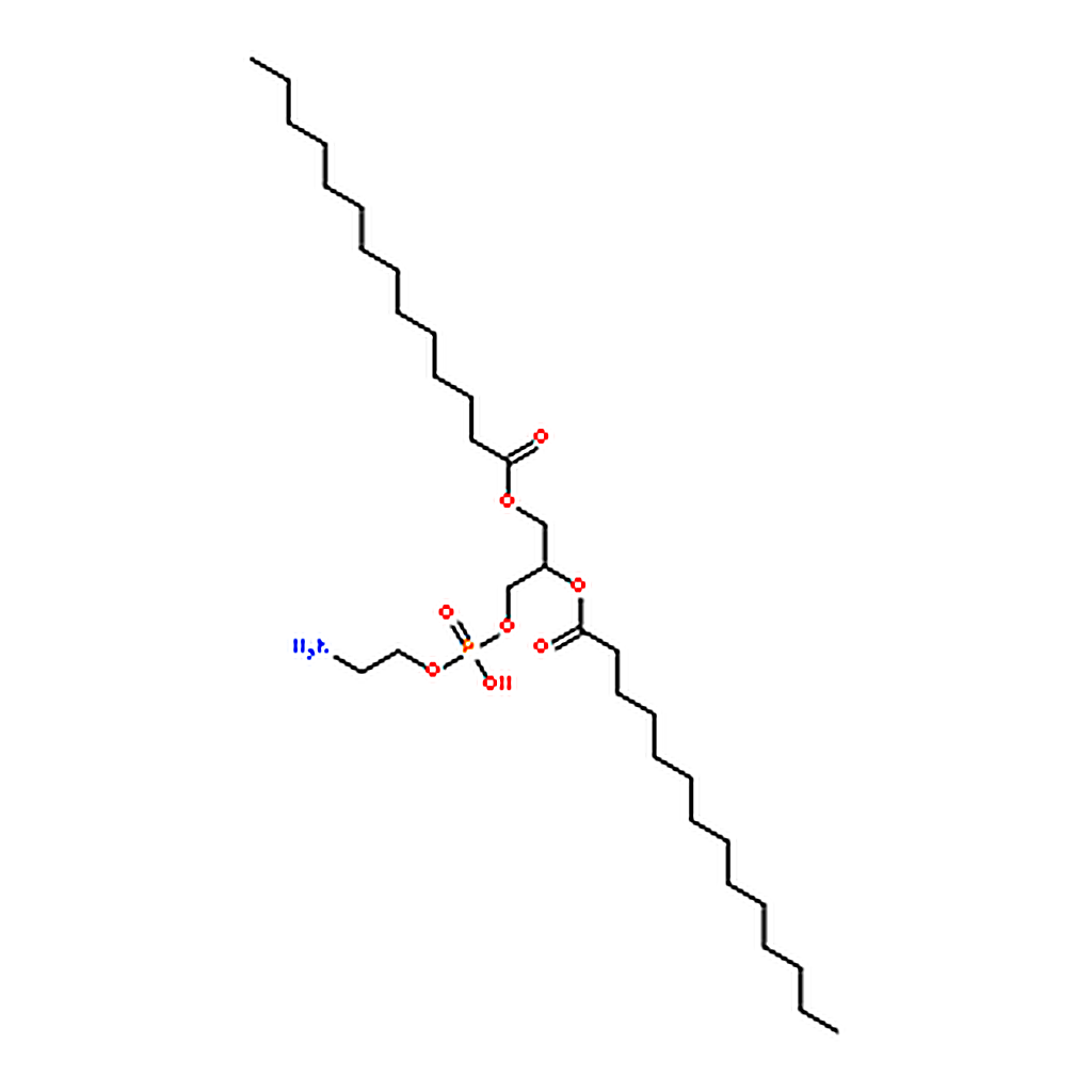 RHAWN 1,2-dimyristoyl-sn-glycero-3-phosphoethanolamine
