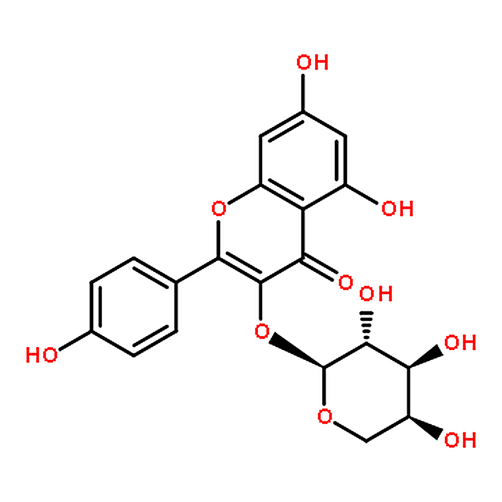 RHAWN Kaempferol 3-O-arabinoside
