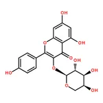 RHAWN Kaempferol 3-O-arabinoside