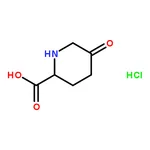 RHAWN 5-Oxopiperidine-2-Carboxylic Acid Hydrochloride