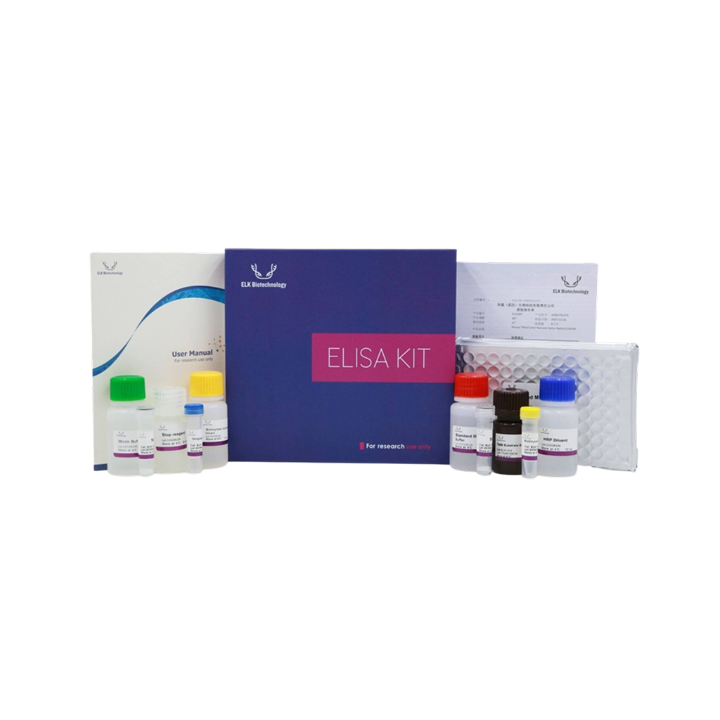 ELK Biotechnology NCKX3 rabbit pAb