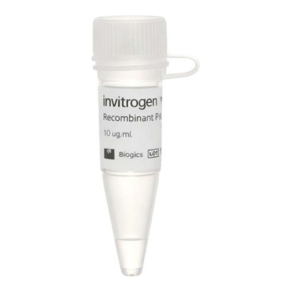 Thermo Fisher Scientific Human SIK1, GST Tag Recombinant Protein