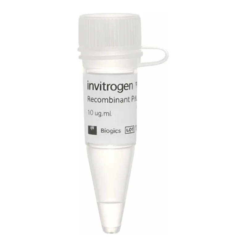 Thermo Fisher Scientific Human SIK1, GST Tag Recombinant Protein