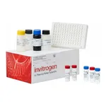 Thermo Fisher Scientific Canine IL-8 ELISA Kit