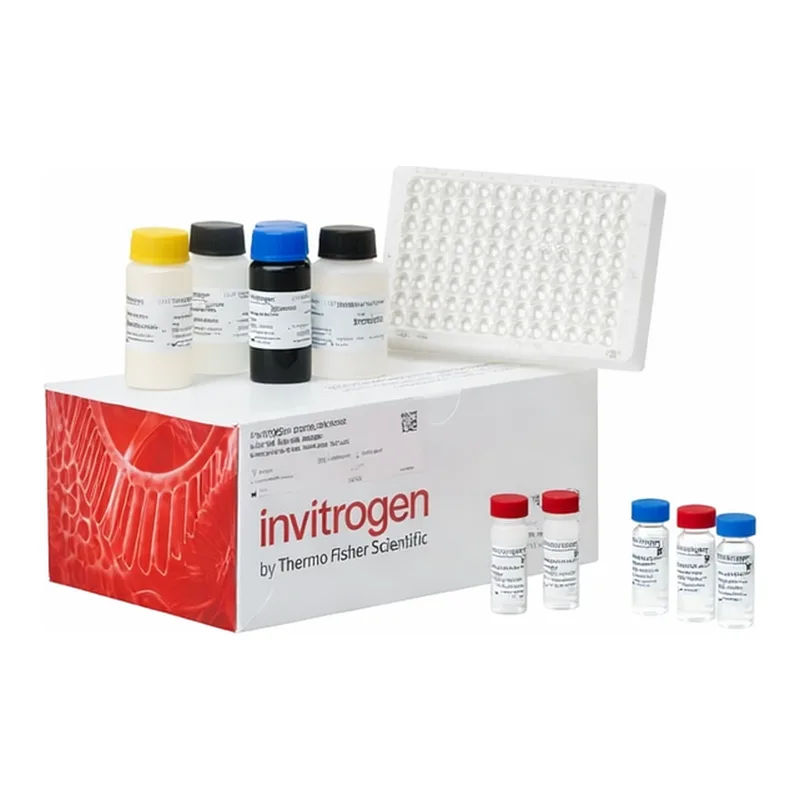 Thermo Fisher Scientific Canine IL-8 ELISA Kit