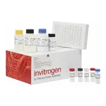Thermo Fisher Scientific Canine IL-8 ELISA Kit