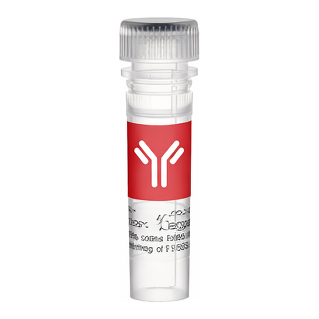 Thermo Fisher Scientific Cyclophilin 40 Polyclonal Antibody
