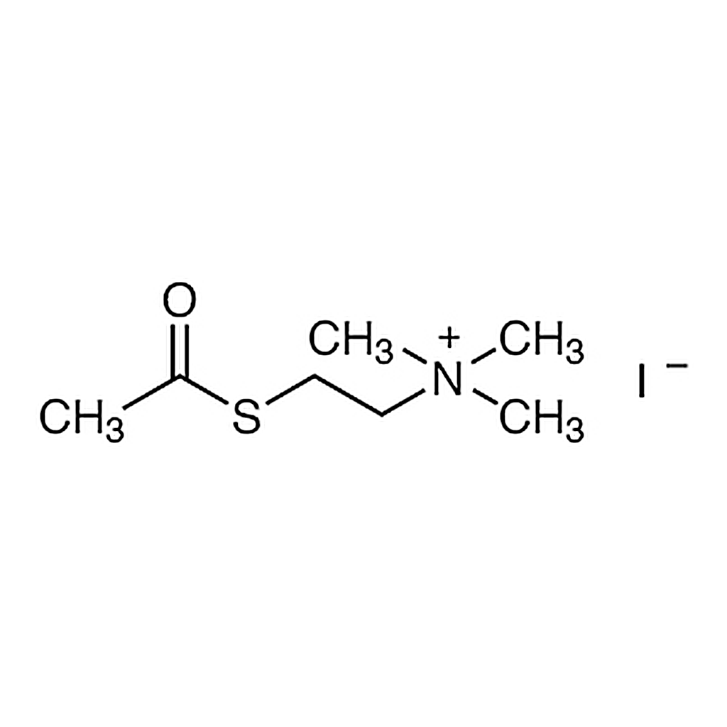 TCI Acetylthiocholine Iodide
