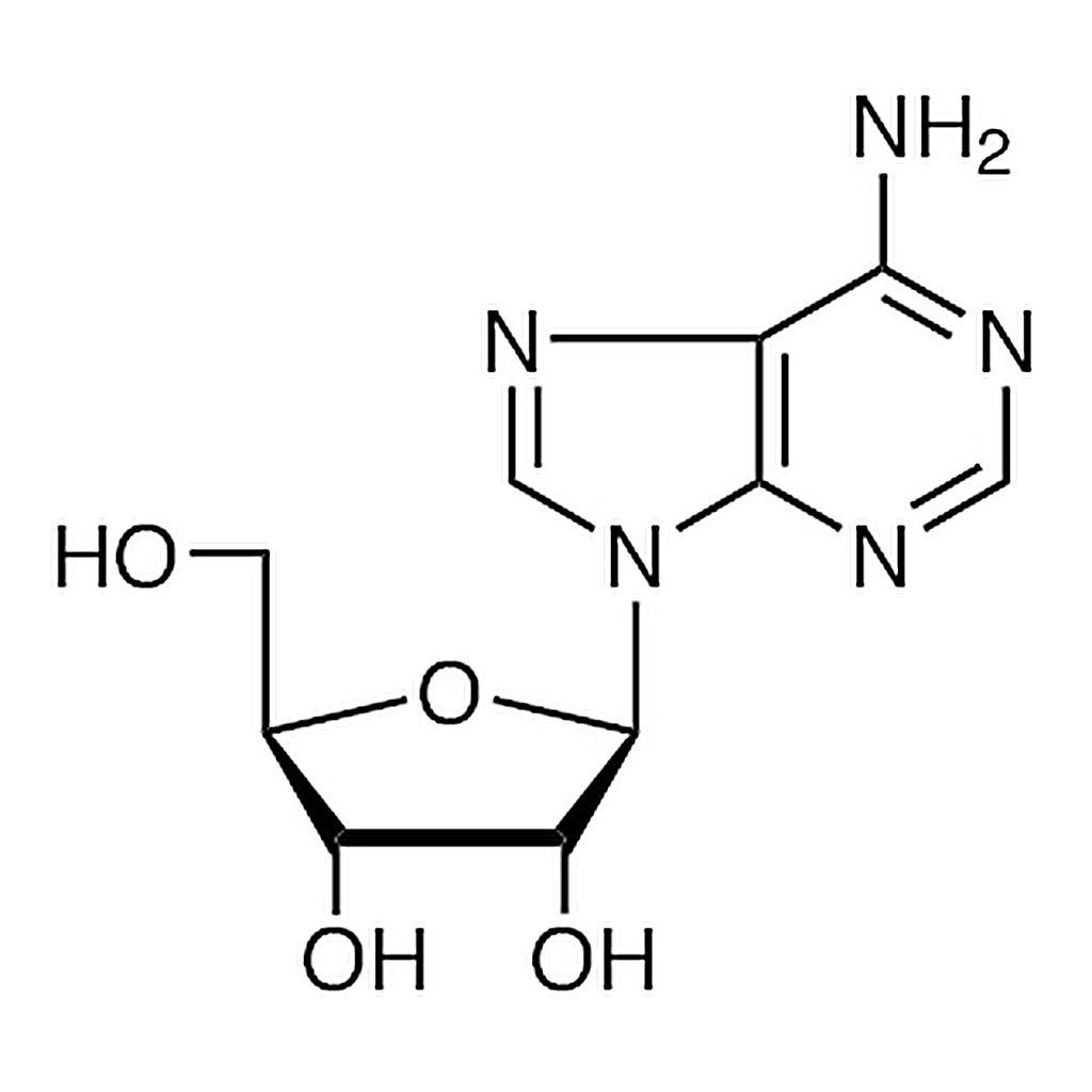 TCI Adenosine