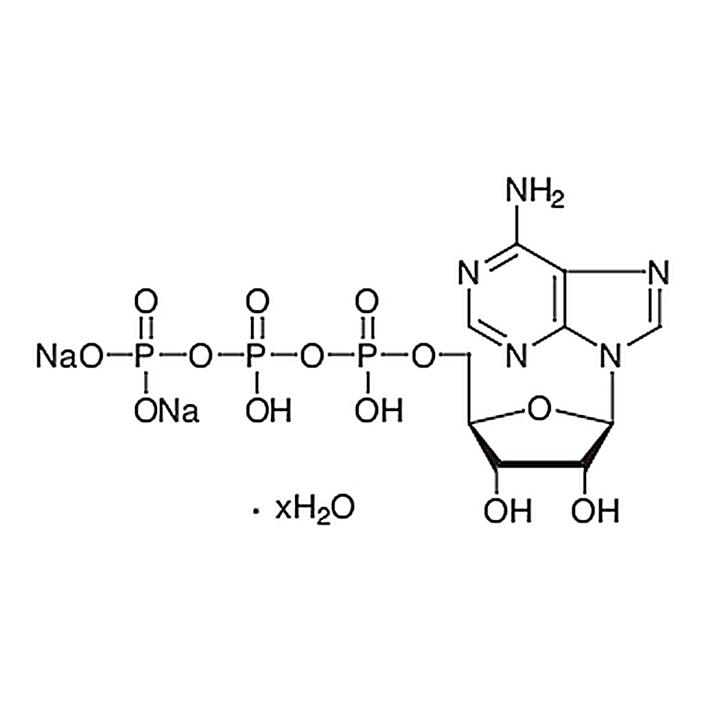 TCI Adenosine 5'-Triphosphate Disodium Salt Hydrate