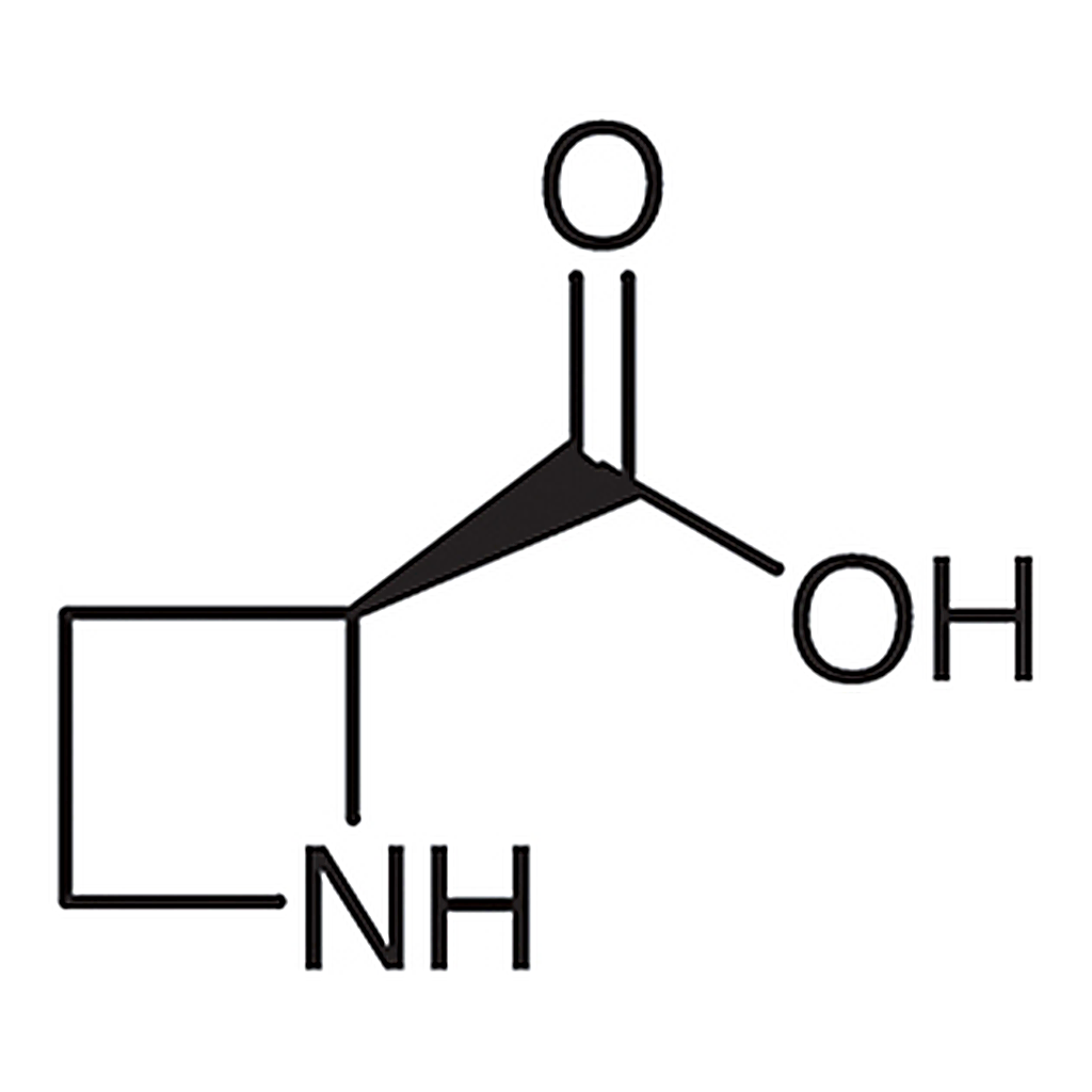 TCI L-Azetidine-2-carboxylic Acid [Antagonist of L-Proline]
