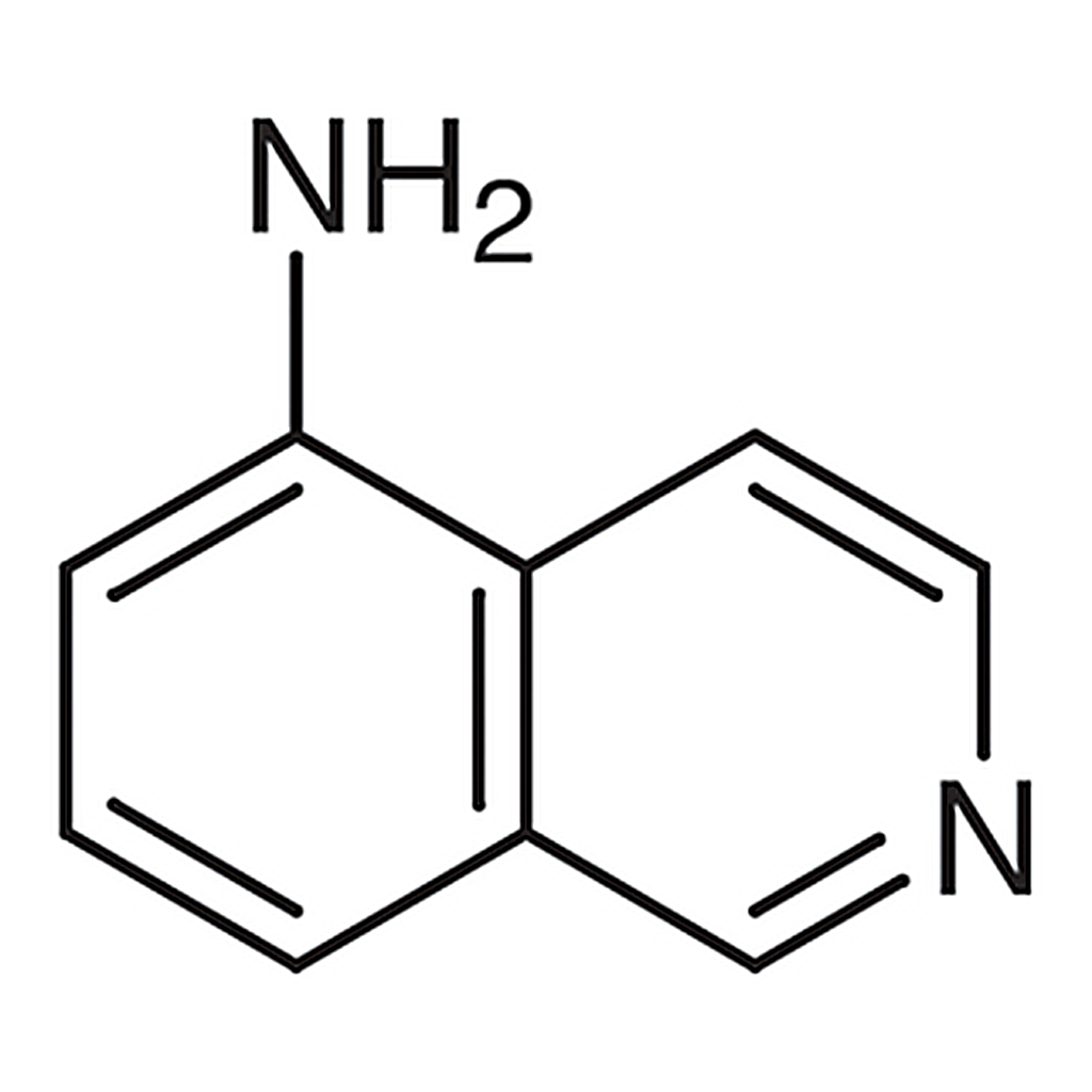 TCI 5-Aminoisoquinoline