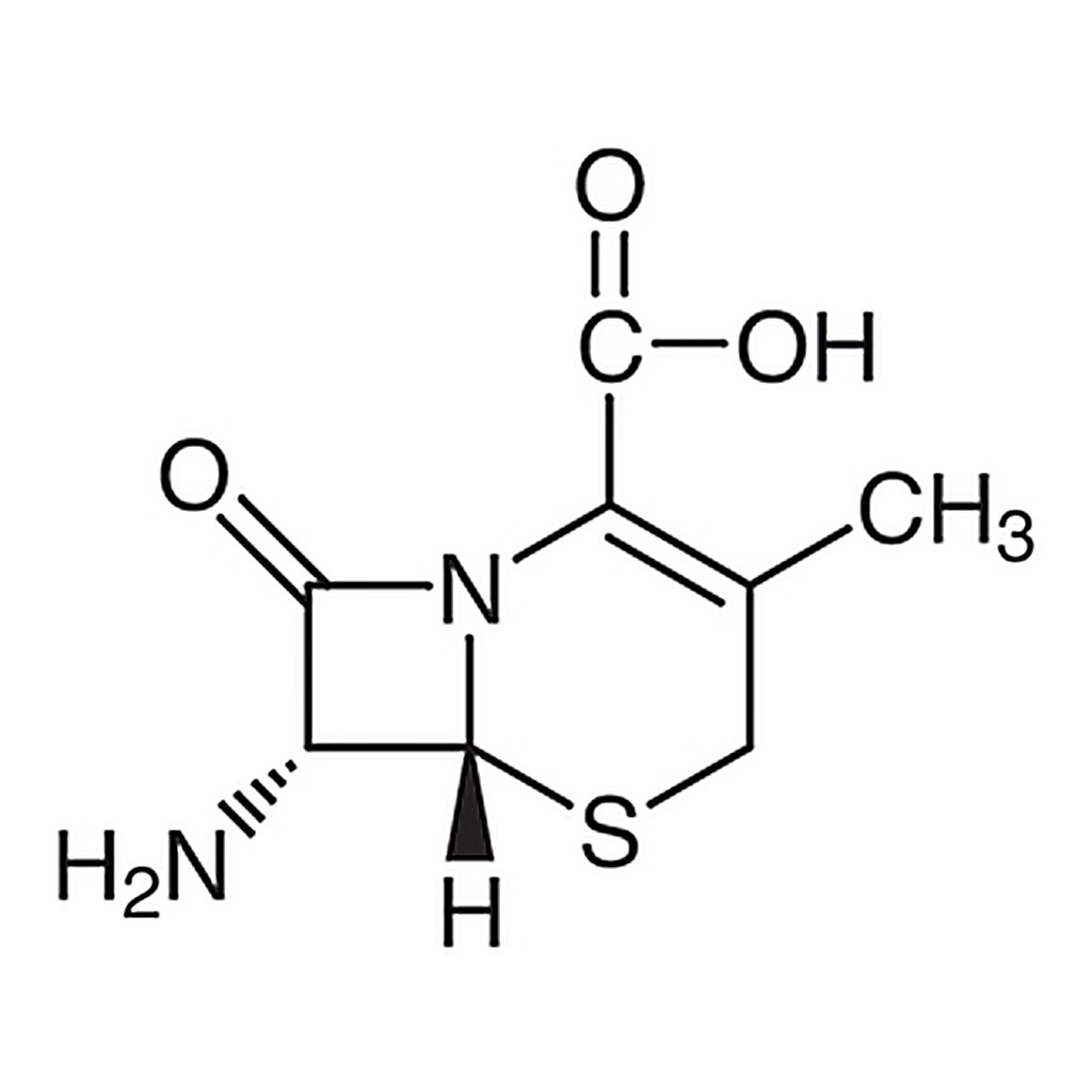 TCI 7-Aminodesacetoxycephalosporanic Acid
