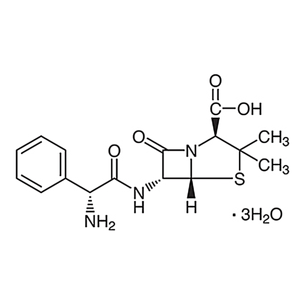 TCI Ampicillin Trihydrate