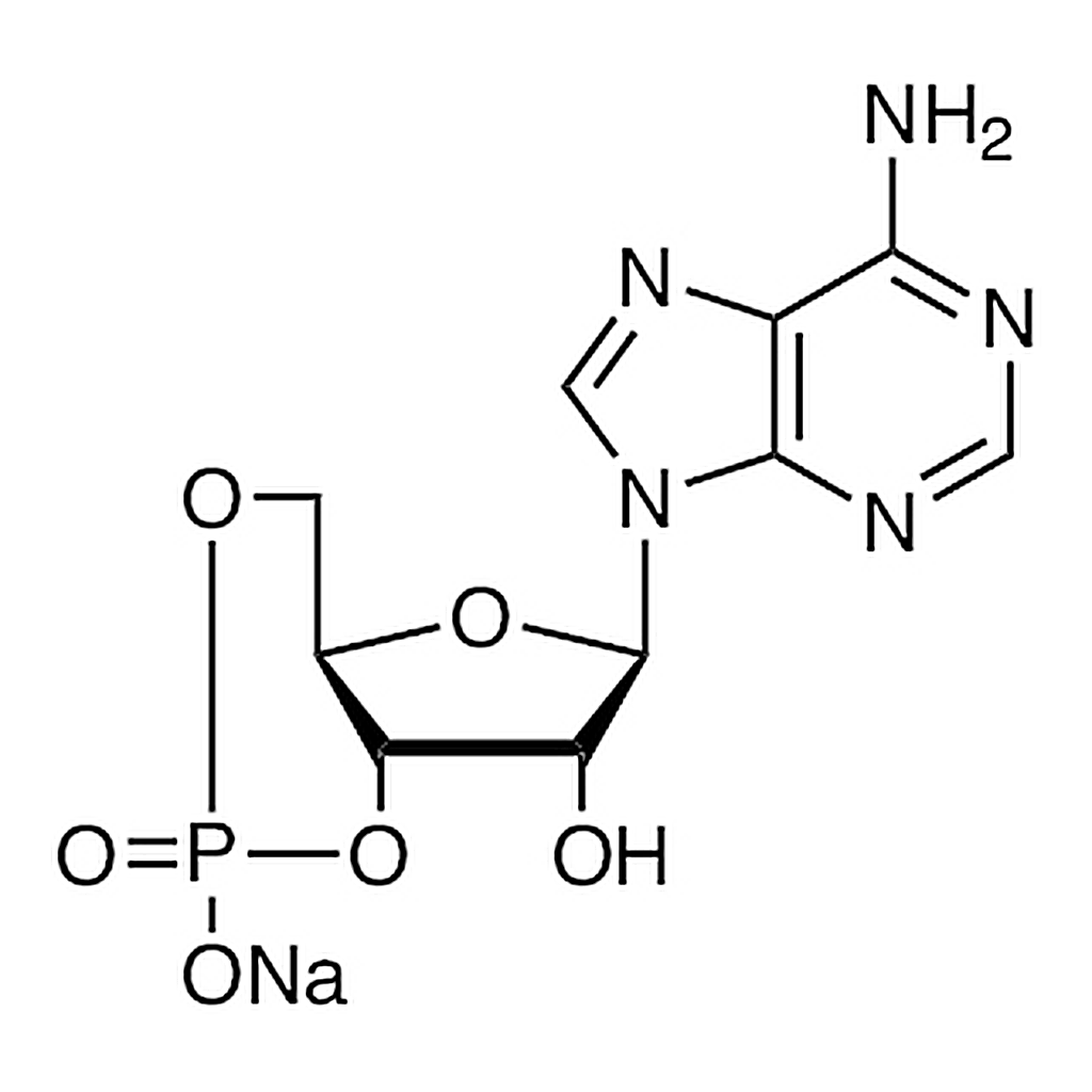 TCI Adenosine 3',5'-Cyclic Monophosphate Sodium Salt