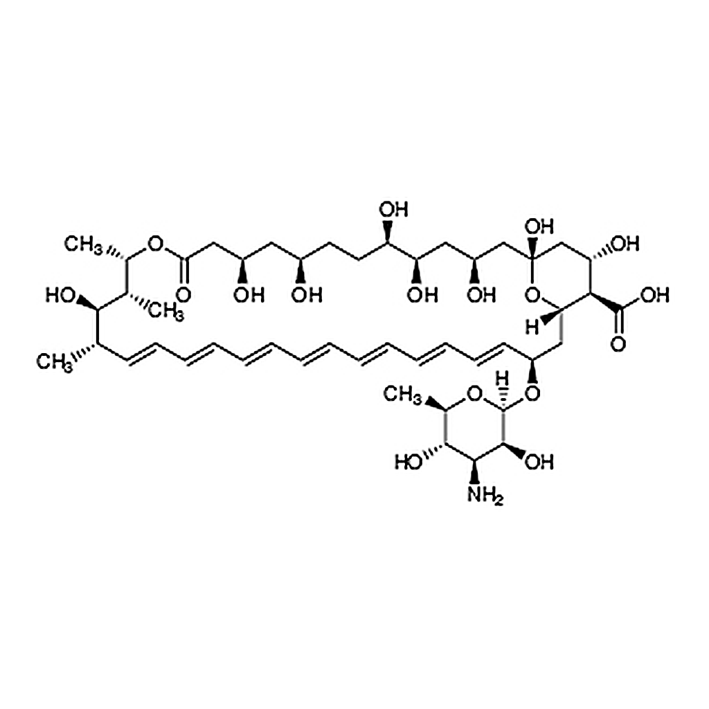 TCI Amphotericin B