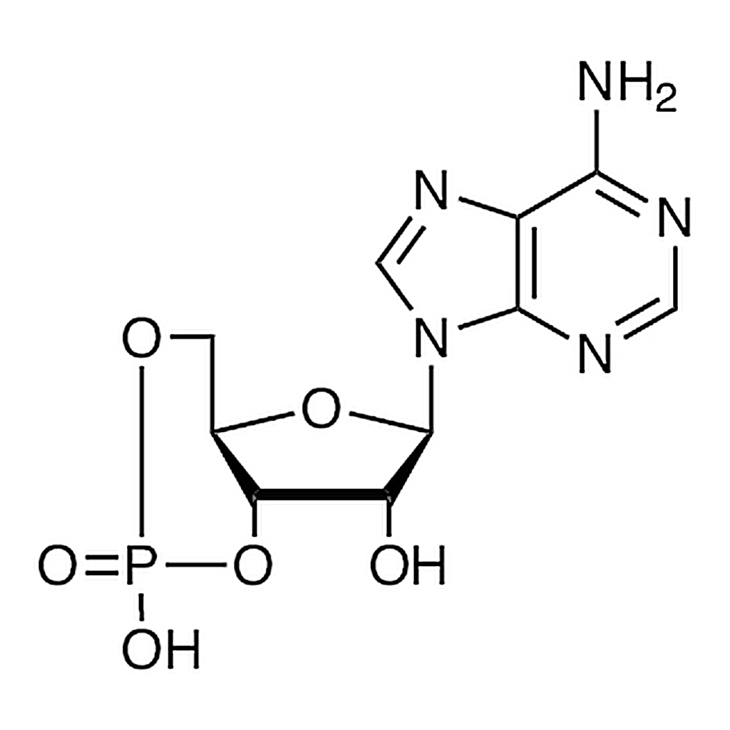 TCI Adenosine 3',5'-Cyclic Monophosphate