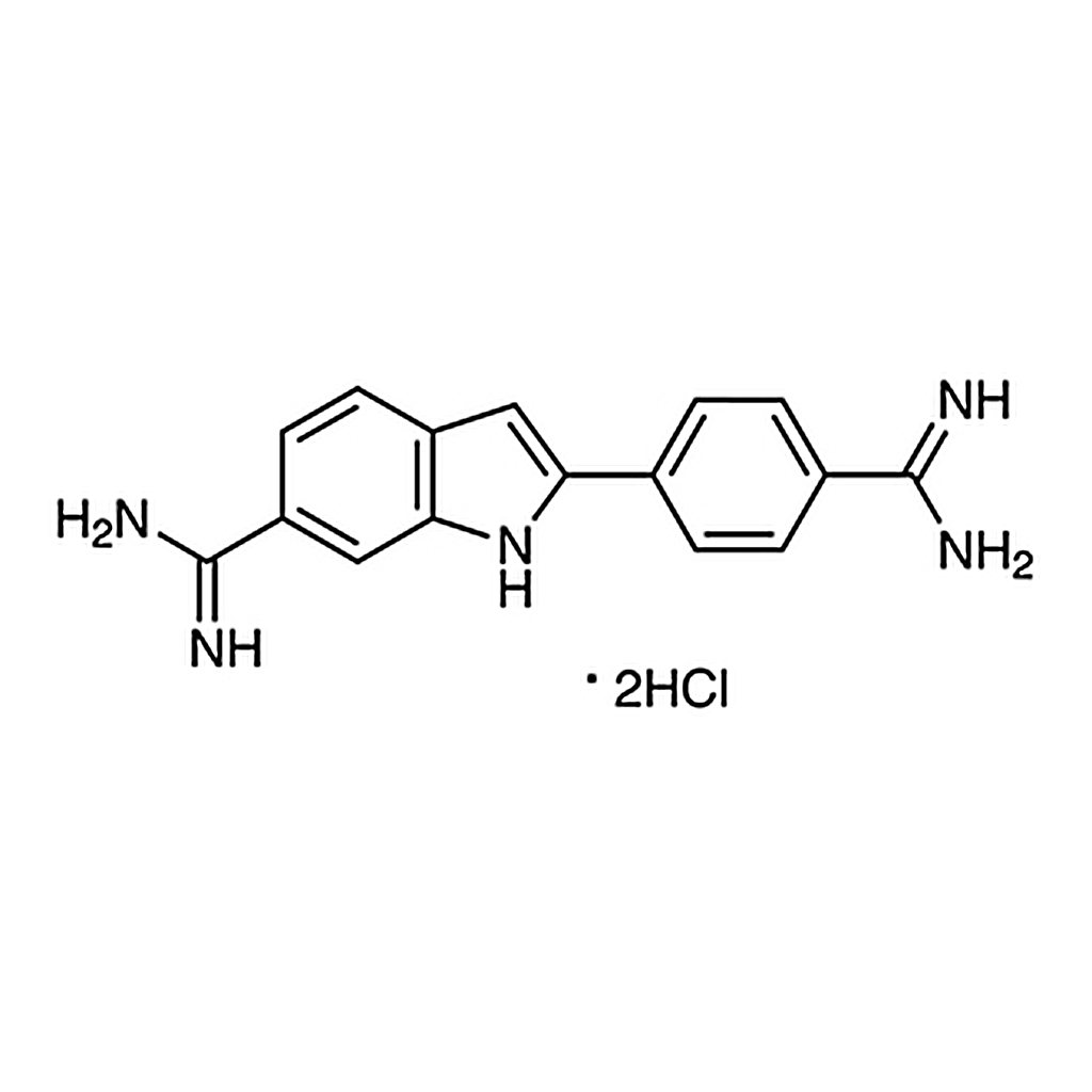 TCI DAPI 2HCl [for Biochemical Research]