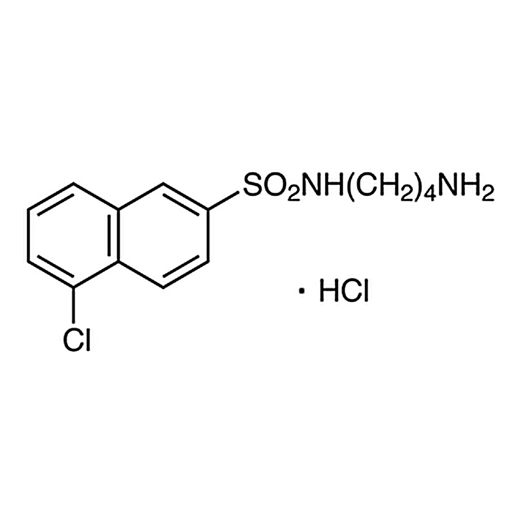 TCI N-(4-Aminobutyl)-5-chloronaphthalene-2-sulfonamide Hydrochloride