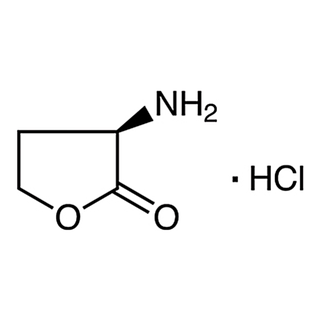 TCI (R)-(+)-α-Amino-γ-butyrolactone Hydrochloride