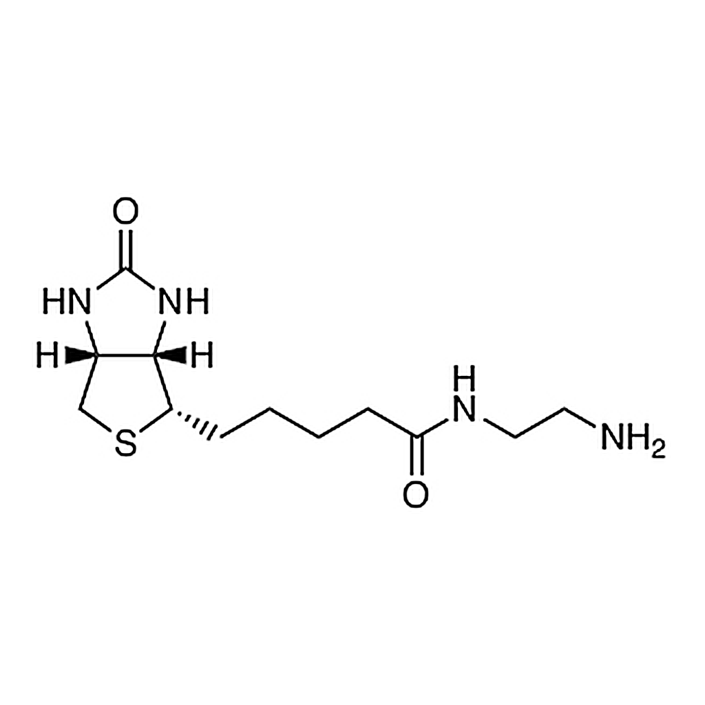 TCI N-(2-Aminoethyl)biotinamide