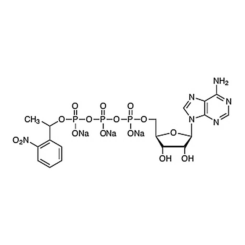 TCI Adenosine 5'-Triphosphate P3-[1-(2-Nitrophenyl)ethyl Ester] Trisodium Salt
