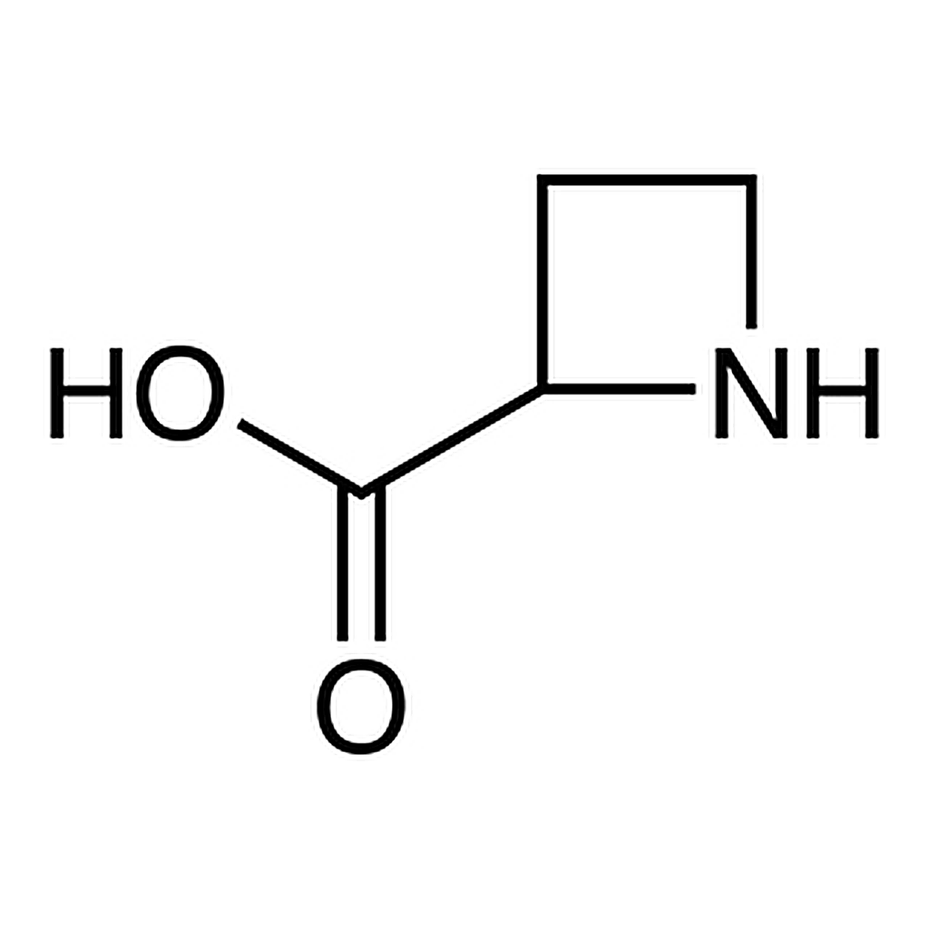 TCI Azetidine-2-carboxylic Acid