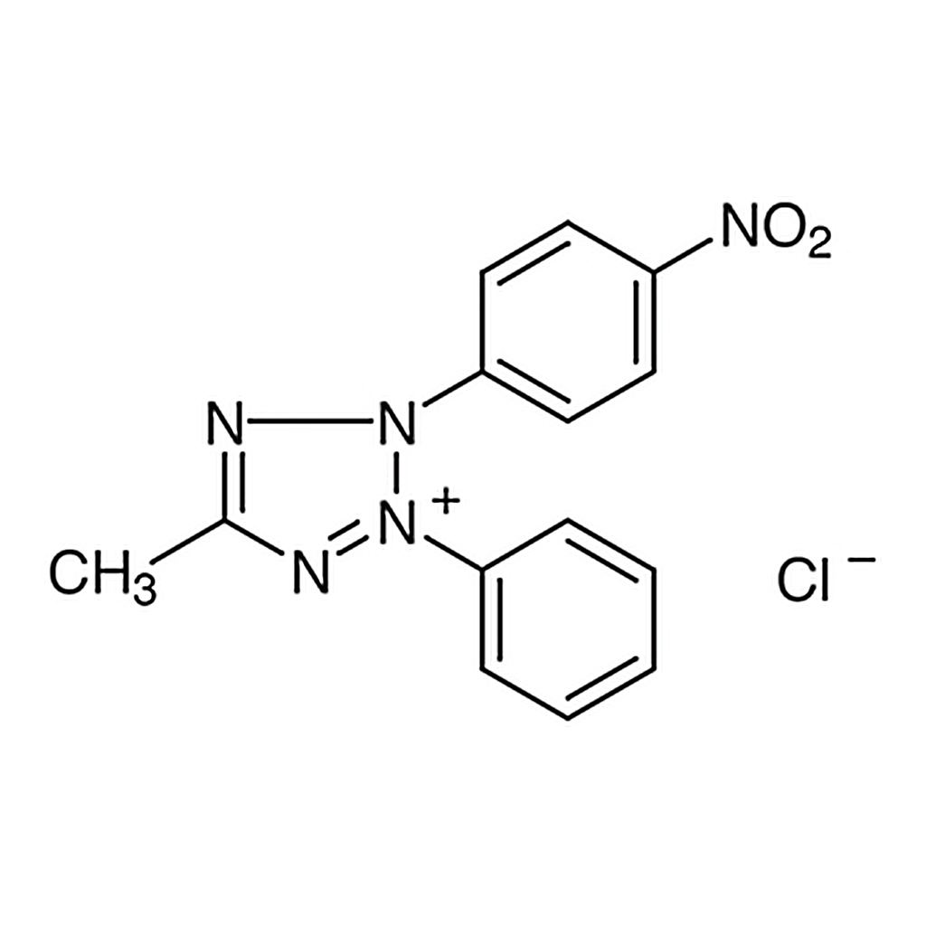 TCI 3-(4-Nitrophenyl)-5-methyl-2-phenyltetrazolium Chloride