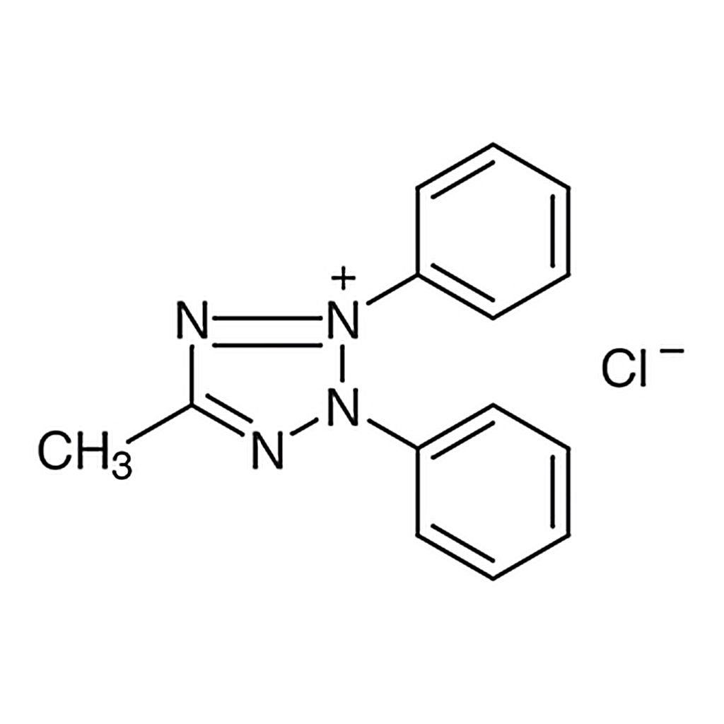 TCI 2,3-Diphenyl-5-methyltetrazolium Chloride