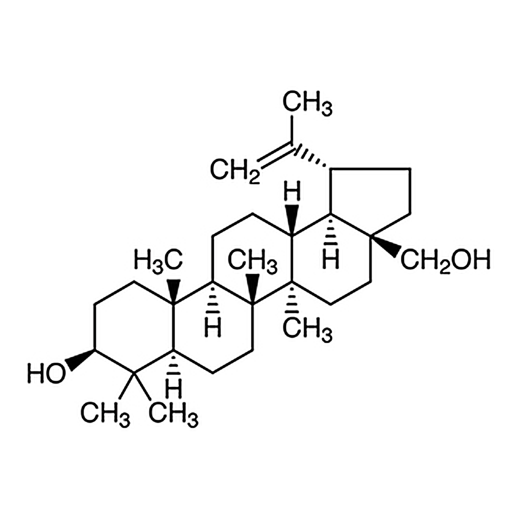 TCI Betulinol