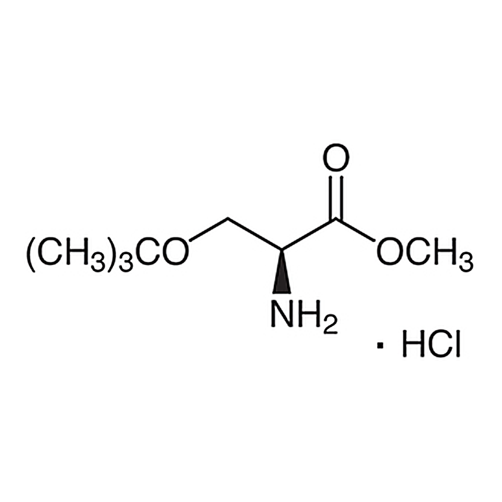 TCI O-tert-Butyl-L-serine Methyl Ester Hydrochloride