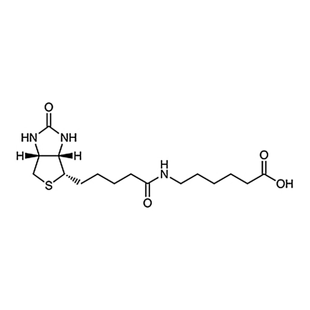 TCI 6-Biotinamidohexanoic Acid